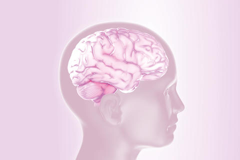 Tebonin® konzent® stärkt Gedächtnis & Konzentration