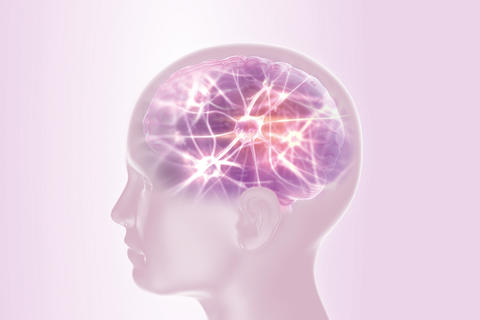 Vernetzung von Nervenzellen im Gehirn