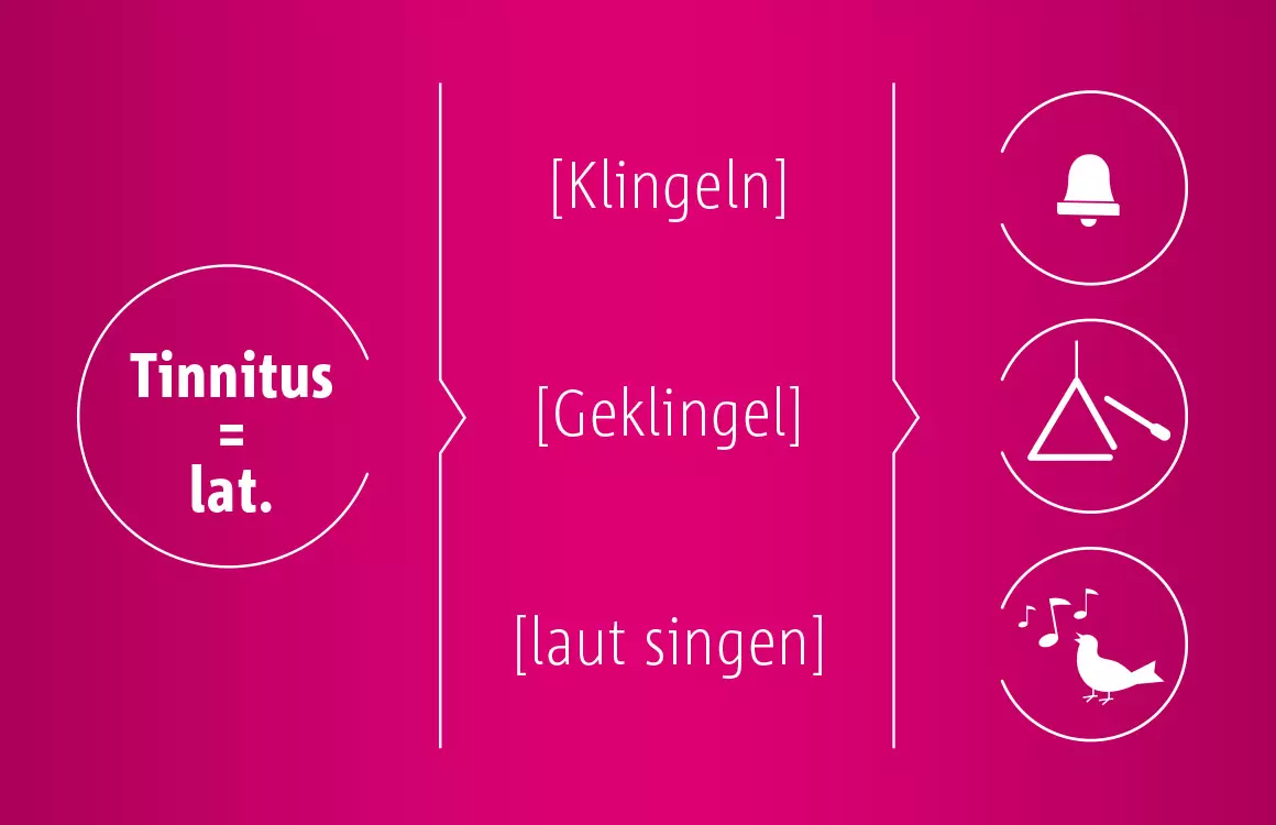 Grafik Herleitung Begriff Tinnitus