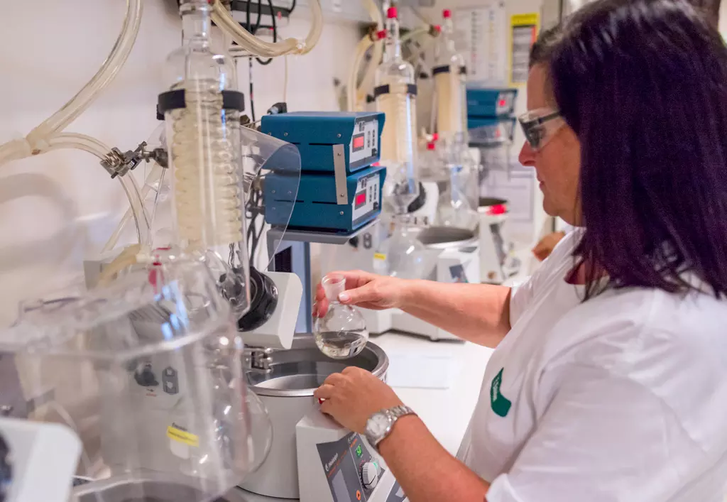 Lückenlose Qualitätskontrolle: Eine Mitarbeiterin prüft die Qualität des Ginkgo-Spezialextraktes EGb 761® 